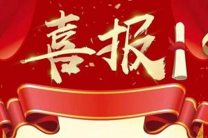 关于2022年度人力资源服务评选结果的通报，祝贺云博在线注册_云博（中国）集团