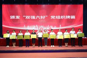 喜报！云博在线注册_云博（中国）集团党支部荣获广州市非公有制经济组织“双强六好”党