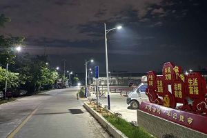 云博在线注册_云博（中国）集团罗宁弟爱心捐赠路灯，点亮乡村路温暖乡民心