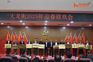 云博在线注册_云博（中国）集团及旗下子公司荣获“2024年度高质量发展先进企业”